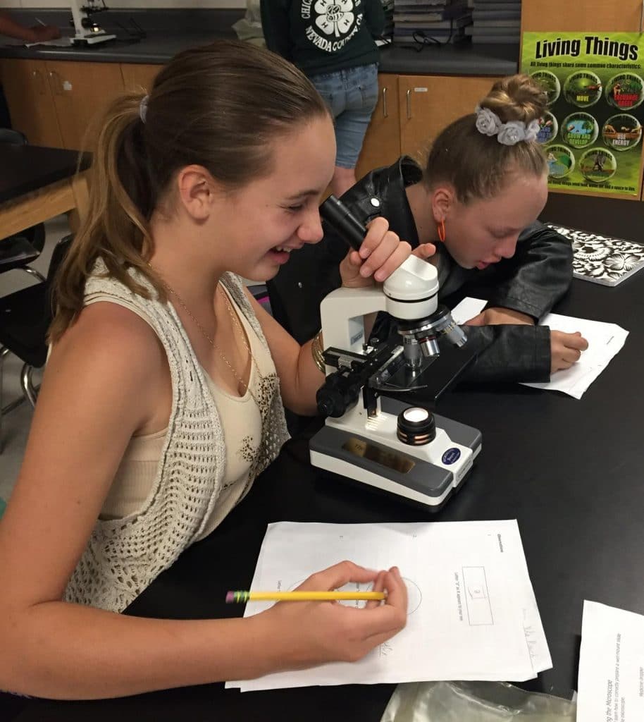 image of girls looking in microscope